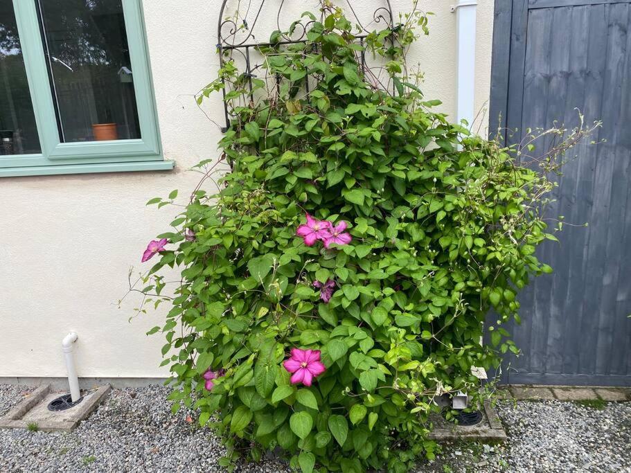 Apartmán Rural Cosy Retreat For Two Near Port Isaac Delabole Exteriér fotografie
